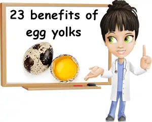 Egg yolks benefits