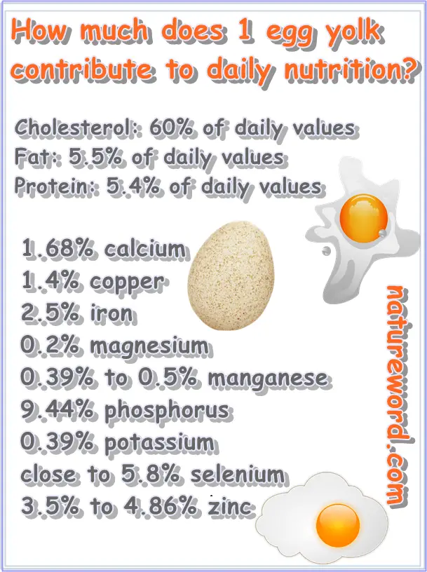 Nutrients data per one egg yolk