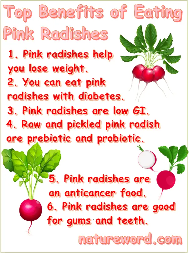 Pink radish benefits