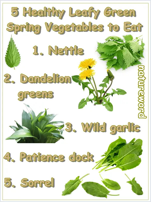 Spring green leafy vegetables list