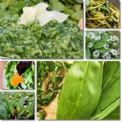 Wild garlic recipes