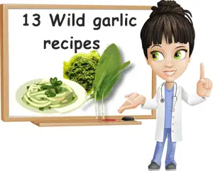 Wild garlic recipes