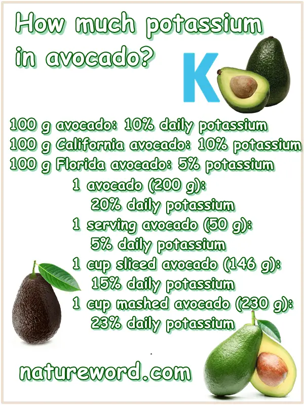 Avocado potassium content