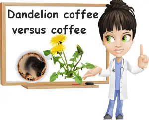 Dandelion vs coffee