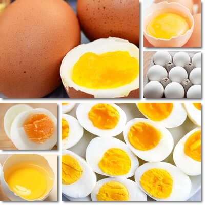 Egg white vs whole egg