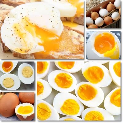 Egg yolk healthy