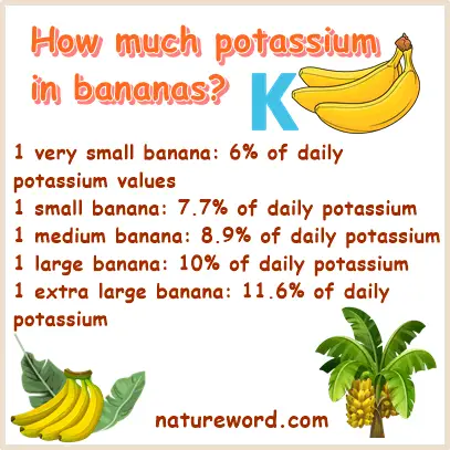 How much potassium in bananas