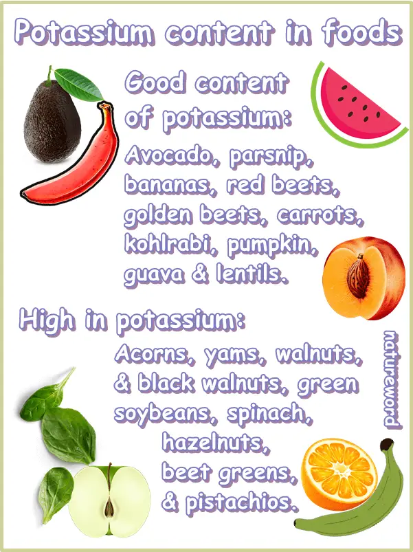 Potassium content of foods