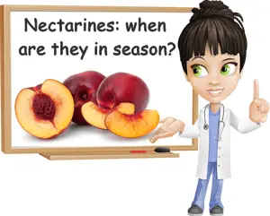 Nectarine season