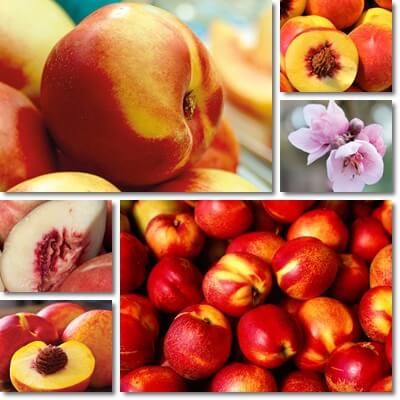 Nectarines benefits