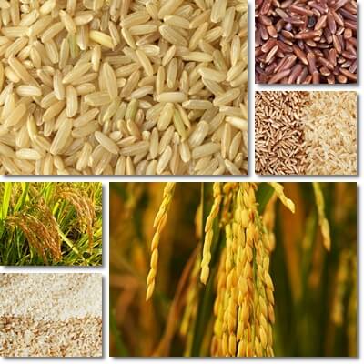 Reasons rice is good for you