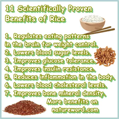 Rice benefits scientifically proven