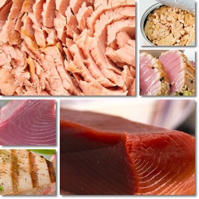 Tuna fish benefits