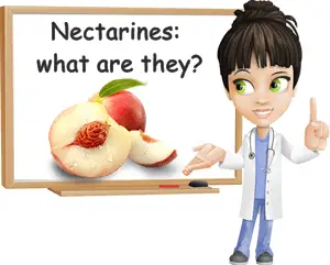 What is a nectarine