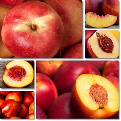 Nectarines glycemic index