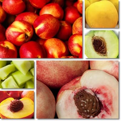 Nectarines guide