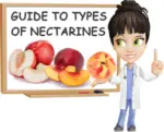 Nectarines Guide: (10 Types of Nectarines by Color, Shape and Stone ...