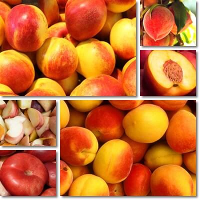 Peach vs nectarine