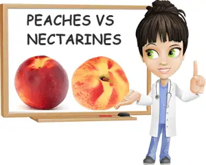 Peaches vs nectarines