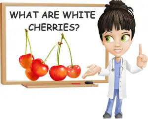 What are white cherries