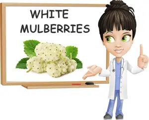 White mulberries