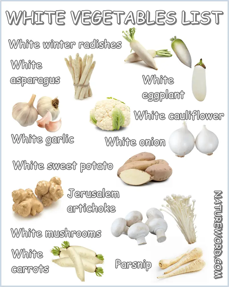 Collection 95+ Images white vegetables list with pictures Latest