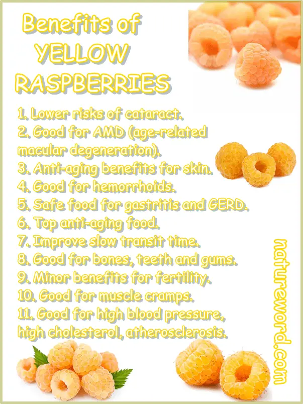 Benefits of yellow raspberries