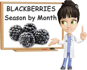 Blackberry season