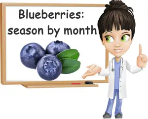 Blueberries season
