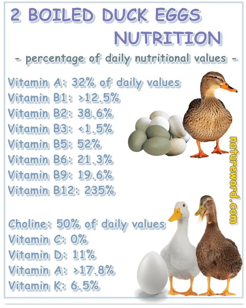 Boiled duck eggs nutrition