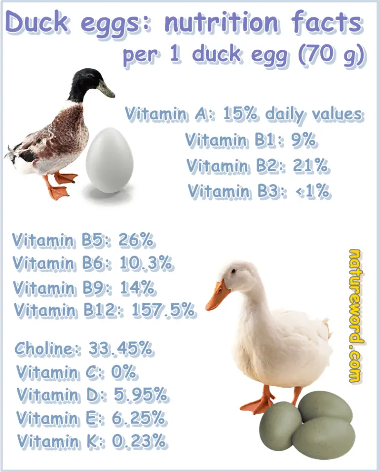 Duck Eggs: Nutrition Facts per One Duck Egg - NatureWord