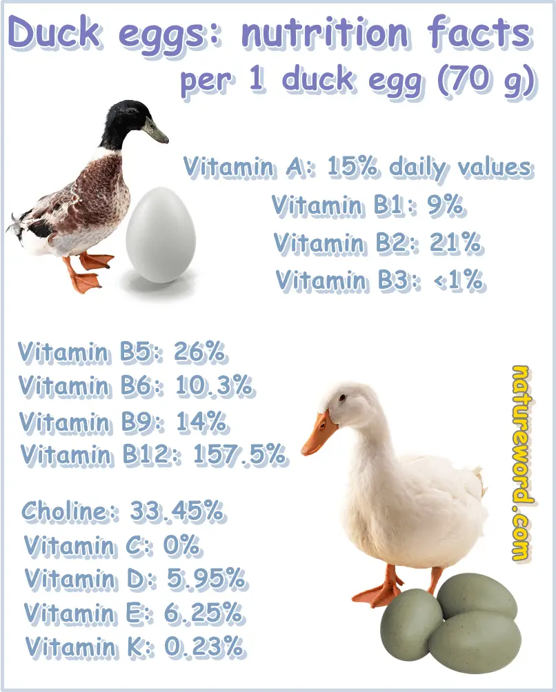 Duck egg nutrition