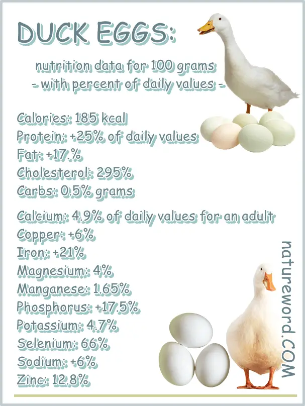 Duck eggs nutrition chart 100 grams