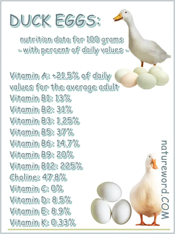 Duck eggs nutrition chart