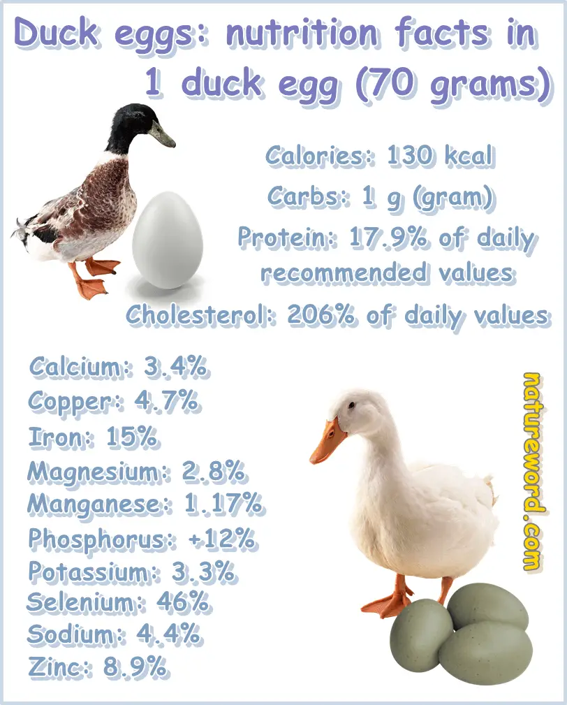 Duck eggs nutrition