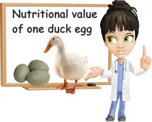 Duck eggs nutritional value