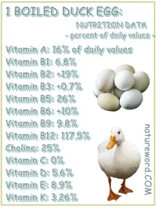 Duck Eggs: Nutrition Data for One Boiled Duck Egg - NatureWord