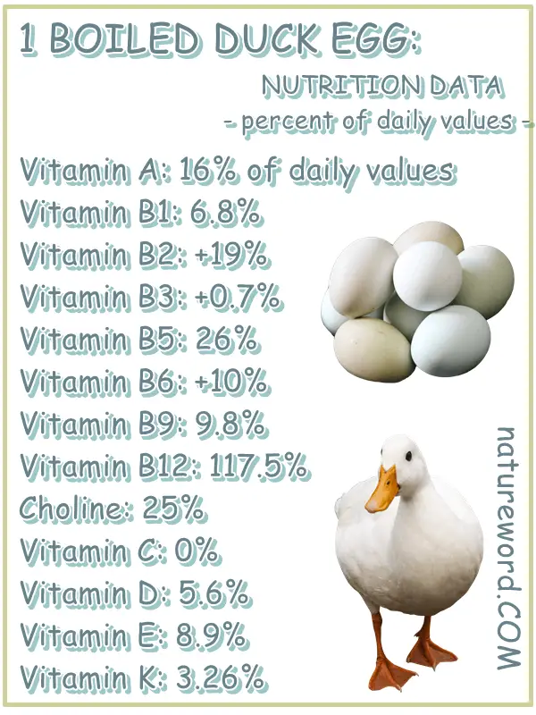 One boiled duck egg nutrition facts