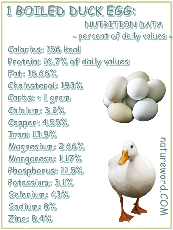 One boiled duck egg nutrition