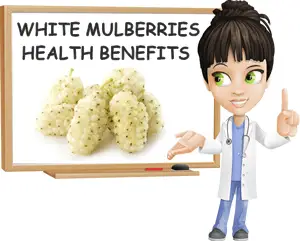 White mulberries benefits