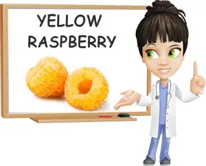 Yellow raspberry benefits