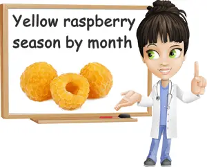 Yellow raspberry season
