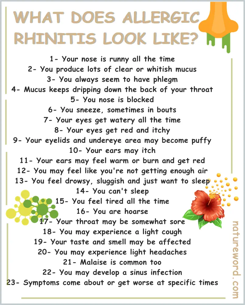 Allergic rhinitis symptoms