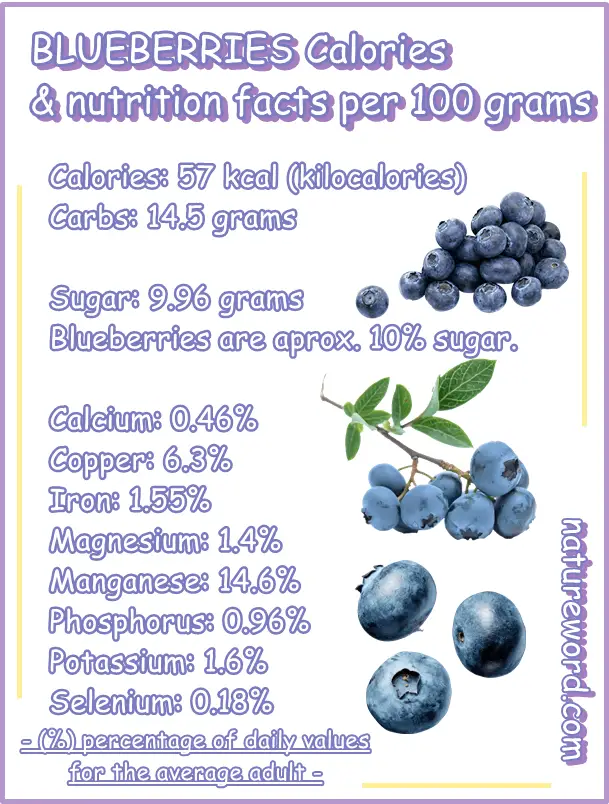 Blueberries calories per 100 grams