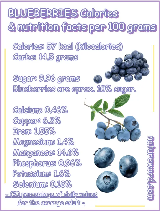 Blueberries Calories And Vitamins Per