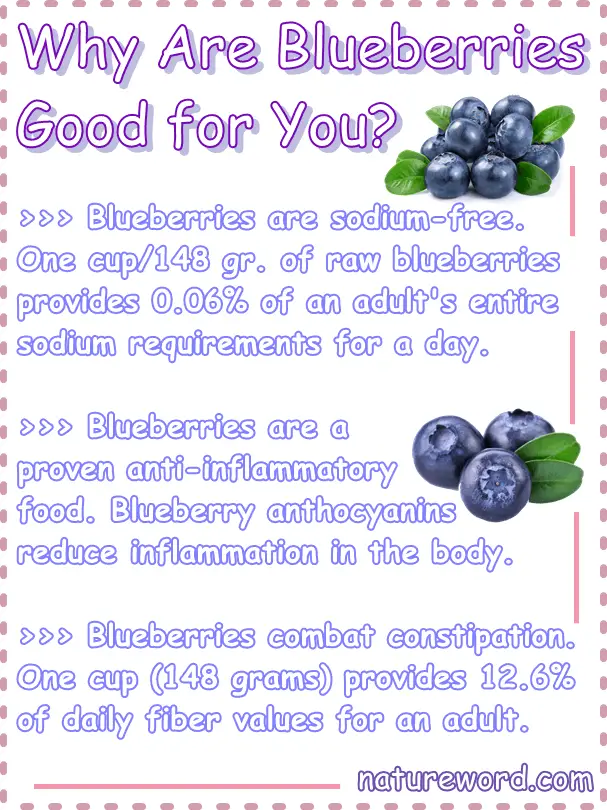 Blueberries good for you 1