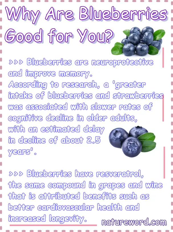 Blueberries good for you 3