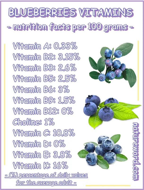 Blueberries nutrition facts vitamins