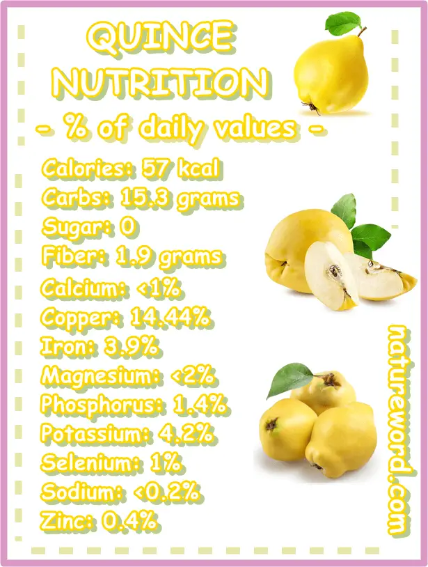 Quince calories nutrition facts 100 grams