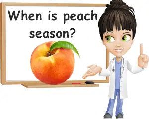When is peach season